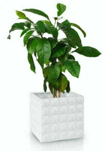 GROßER weißer Würfel Blumentopf Wohndeko moderner Pflanzenhalter Töpfe Vase - Bild 1 von 4