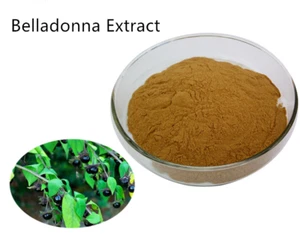 Belladonna High Quality Pure “Scopolamine” Extract Powder 250g New - Picture 1 of 2