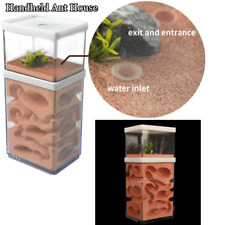 Ant Farm Box Ant Home for Kids Study of Ant Behavior Ant Nest Farm Insect House