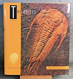 TRILOBITEN Buch Riccardo Levi-Setti 1993 HC DJ Lk Neu 342 Seiten 2. Teil - Bild 1 von 11