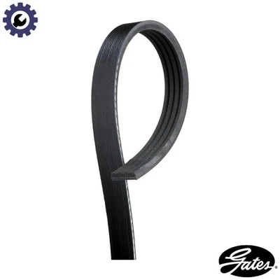 VRIBBED BELT 4PK843SF FOR BMW 5/X/SAV/E70/E61/E60 X3/E83 X5 X6/SAC/E71/E72 3.0L - Image 1 of 4