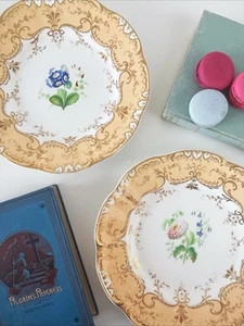 Antique H and R Daniel dessert plates peach ground, handpainted flowers Stanhope - Picture 1 of 10