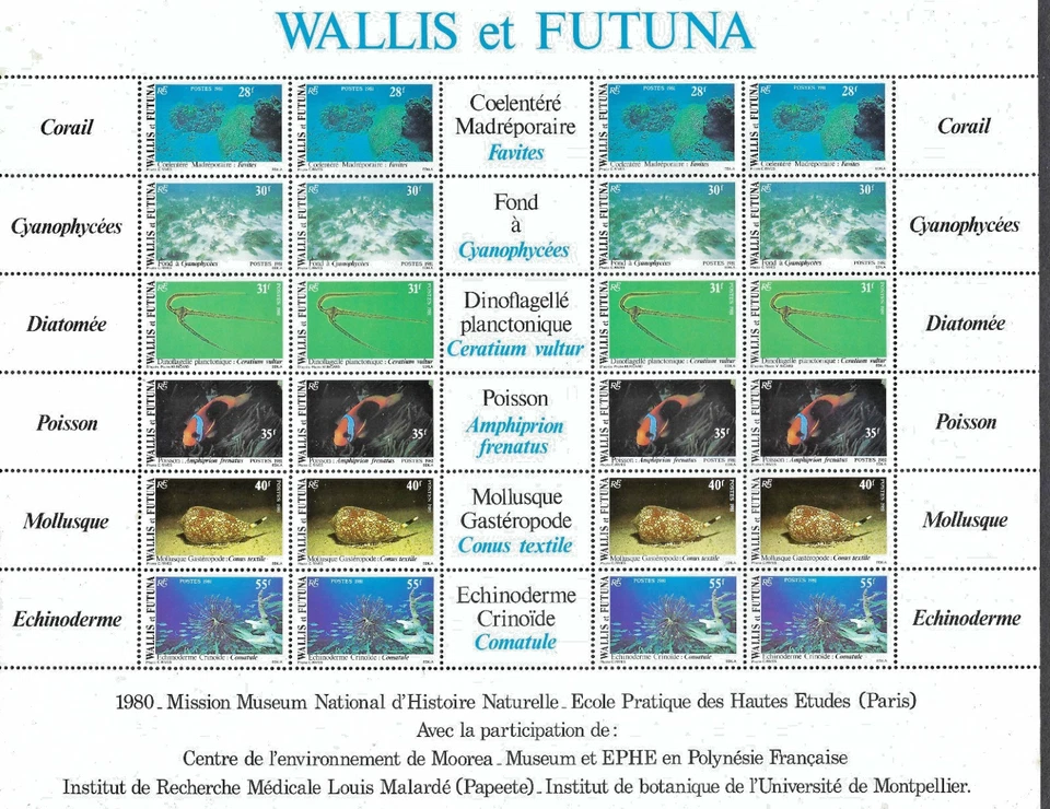 Wallis & Futuna 1981 #269a Hoja de 24 MNH Edición de vida marina/Carcasas Foto 1 de 1