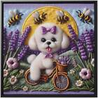 Bichon Frise Wall Art Decor Canvas Print Girl Dog Puppy Painting Lavender Bike