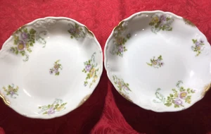 (2) Vintage Limoges. Floral Dessert Bowls H & Co C. Ahrenfeldt Limoges France - Picture 1 of 5