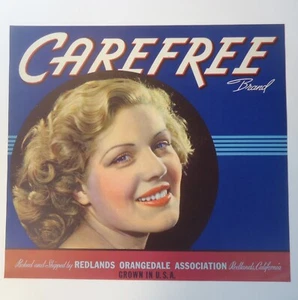 Lot of 18 Vintage ORIGINAL Crate Labels Carefree Brand Oranges Lot 29 - Picture 1 of 2