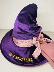 Hocus Pocus Velour Witch Hat Adult Halloween Costume Spirit Disney Cosplay - Picture 1 of 10