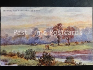 c1910 - The Park, near Northumberland House - Picture 1 of 1
