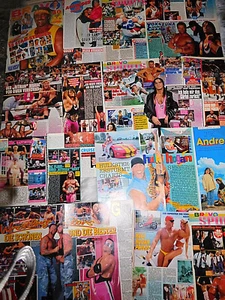ALLES RUND UM WRESTLING STARS  163 TEILE/PARTS newspaper cutting  0521 - Picture 1 of 4