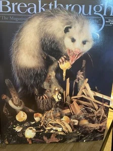 Durchbruch: Das Magazin, das dem ernsthaften Wildtierkünstler gewidmet ist, Lot mit Ordner - Bild 1 von 13