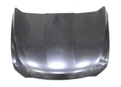 NEW OEM Ford Hood Panel Assembly AG1Z-16612-A Ford Taurus 2010-2012 - Image 1 of 4