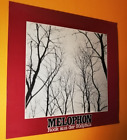 Melophon - Rock aus der Südpfalz LP Mega RAR!!!!/ O  635