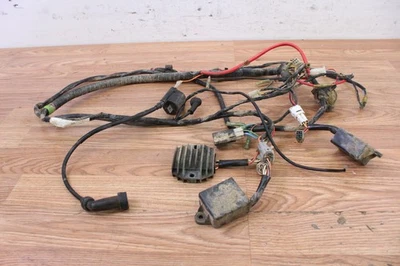 Yamaha Timberwolf 250 CDI 1996 encendedor arnés de caja encendido Bobina V Reg eléctrica OEM Foto 1 de 4