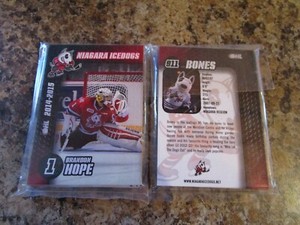 2014-15 NIAGARA ICEDOGS OHL FACTORY SEALED TEAM SET 
