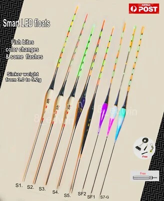 Smart Vertical LED Fishing Float Garfish Warehou Yellow Tail Bream night fishing - image 1 of 4