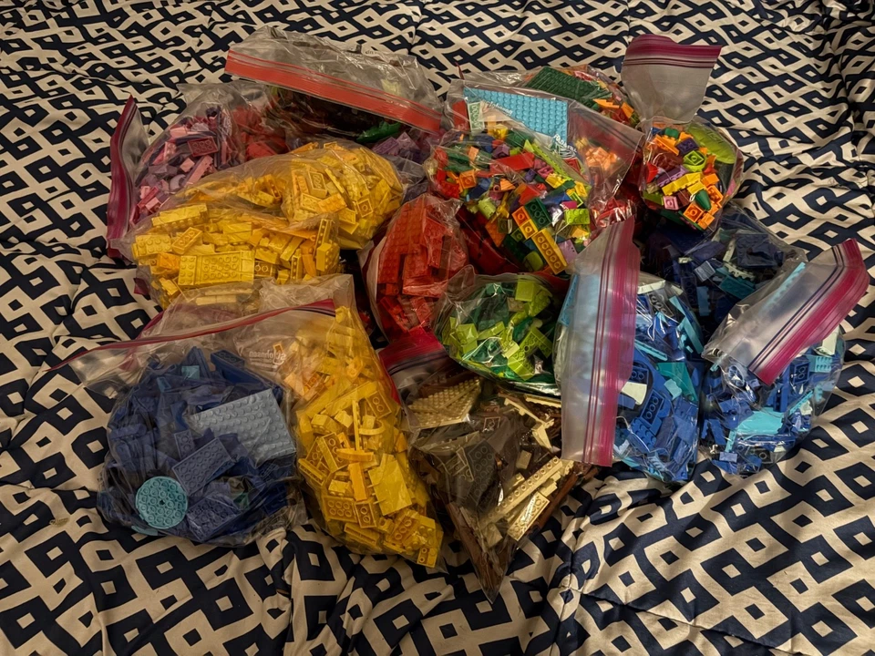 LEGO Bricks 所有尺寸 按颜色分类,每包 1 磅 — 第 1/1 张图片