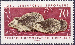 DDR #Mi982 MNH 1963 West European Hedgehog Erinaceus europaeus [667] - Picture 1 of 1