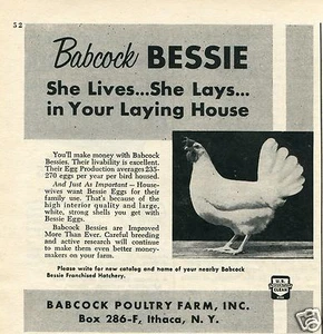 1959 small Print Ad of Babcock Poultry Farm Inc Ithaca NY Babcock Bessie Eggs - Picture 1 of 2