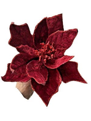 Elegante selección floral de terciopelo rojo pétalos con cable vino rojo intenso flor de pascua Foto 1 de 4