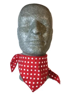 Estrella de rock motociclista vaquero vaquera ladrón cuello rockabilly bufanda pañuelo vestido elegante  Foto 1 de 4