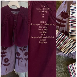 Lot of 3matching TEA COLLECTION PURPLE DRESS&Pockets, Cardigan, leggings Sz 5-6 - Picture 1 of 8