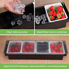 4 Trays Ice Cooled Condiment Serving Container Chilled Garnish Tray Bar Caddy