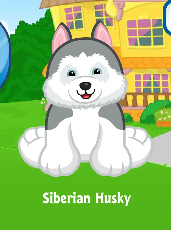 Webkinz Siberian Husky Virtual PET Adoption Code Only Messaged RETIRED - Image 1 of 1