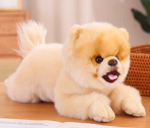 Lying Pomeranian Dog 16" Pillow Stuffed Animal Plush Toys Toddler Doll Kids Gift - Picture 1 of 5