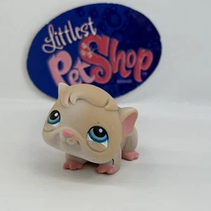 GUINEA PIG #288 - Authentic Littlest Pet Shop - Hasbro LPS - Picture 1 of 4