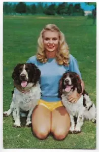 PRETTY BLOND & HER 2 SPANIELS -CT 1958 - Picture 1 of 1