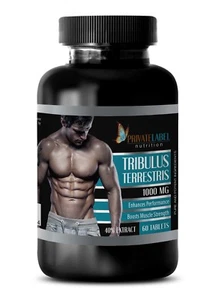 tribulus standard process - TRIBULUS TERRESTRIS - testosterone booster - 60 Tabs - Picture 1 of 12