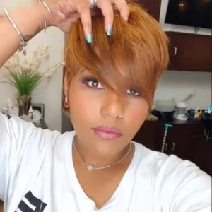 Pixie Cut Short Straight Brown Glueless Human Hair Wig Machine Made No Lace Wigs - Picture 1 of 4