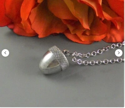 Medallón de bellota medallón de otoño antiguo plata bellota colgante cremación collar cenizas Foto 1 de 4