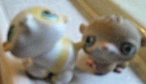LPS # 137 Yellow White Hamster  Blue Eyes 2004 + tan hamster #54 2004 - Picture 1 of 4