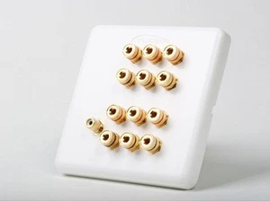 6.1 Surround Home Theater Speaker Wall Plate Banana Binding Post 2-Gang White - Picture 1 of 3