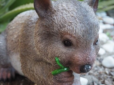 29CM WOMBAT EATING LEAVES Australian Native Marsupial Garden  Ornament FIGURINE  - image 1 of 4