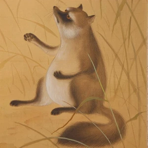 Japanische hängende Schriftrolle Kakejiku Tanuki Waschbär Hund signiert Shuho Seide ASO404 - Bild 1 von 14