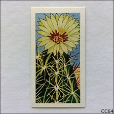 Lamberts Tea Card Cacti 1967 #3 Hamatocactus Setispinus (CC64)