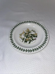 PORTMEIRION GIARDINO BOTANICO 6,25" PIATTO PANE E BURRO "SCATOLA LATTE FOGLIA". - Foto 1 di 4