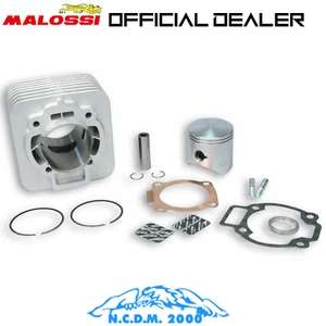318236 CILINDRO MALOSSI 172CC D.65 PER PIAGGIO SKIPPER 150 2T ALLUMINIO - Imagen 1 de 4