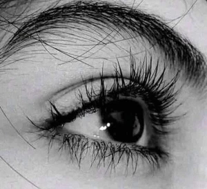 THREE (3)  BLACK Retractable Eye/Lipliner with Aloe Vera & Vitamin E Pencil - Picture 1 of 10