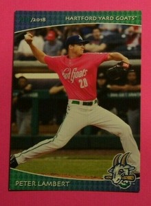 2018 Grandstand, Hartford Yard Goats - PETER LAMBERT