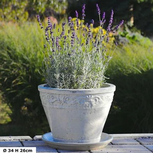 Pflanzgefäß Blumentopf -kübel Lunel grauweiß glasiert mit Untersetzer frostfest - Bild 1 von 3