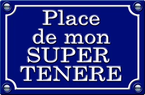 PLACE DE MON SUPER TENERE - 29cm AUTOCOLLANT STICKER MOTO PR054 - Imagen 1 de 1