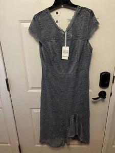 Jasambac NWT Dusty Blue Lace Round Neck Dress 16 Midi-Maxi Cap Sleeves Lined - Picture 1 of 6