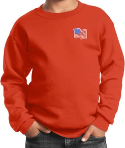 Buy Cool Shirts Kids Waving USA Flag Sweatshirt Patch Pocket Print - Picture 1 of 18