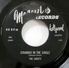 the CADETS 45 Stranded in the Jungle MODERN RECORDS doowop VG Cg 386