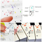 Piano Key Sticker Colorful Transparent Piano Score Printing Decorative XXL