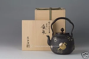 Takaoka Tetsubin: Collezione di Tesori con intarsio oro e argento - Teiera in ferro - Foto 1 di 7
