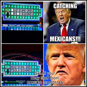 Fridge Fun Refrigerator Magnet DONALD TRUMP Wheel of Fortune "Mexicans" Meme - Picture 1 of 6